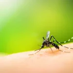 Eli Lilly Introduces Affordable Zepbound Vials to Address Obesity Medication Shortages