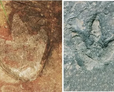 Ancient Echoes: Dinosaur Footprints Link Brazil to Cameroon in Groundbreaking Discovery