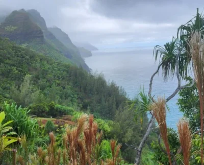 Gastrointestinal Illness Strikes 24 Kalalau Hikers, Prompting Health Advisory from DOH