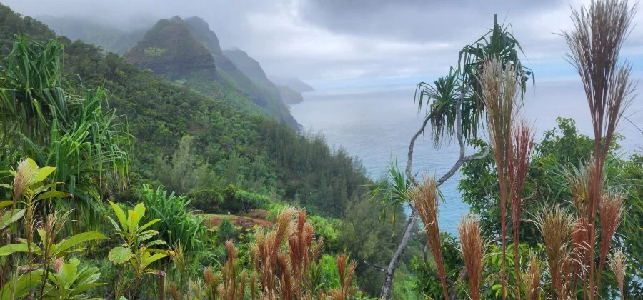 Gastrointestinal Illness Strikes 24 Kalalau Hikers, Prompting Health Advisory from DOH