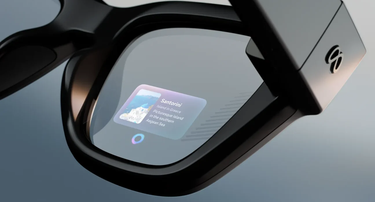 Meta smart glasses